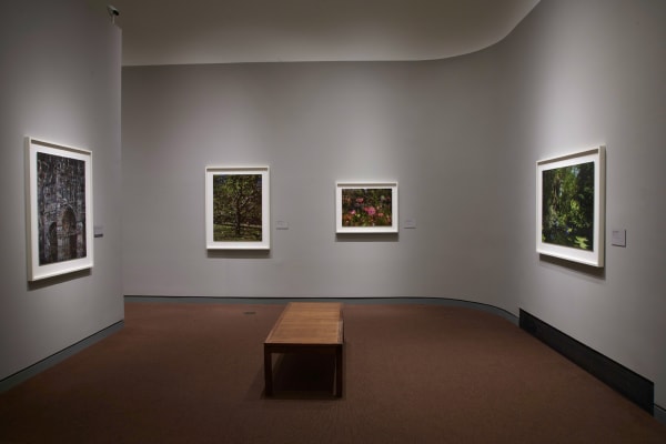 installation shot of four framed tent-camera artworks by Abelardo Morell in his solo show In the Company of Monet and Constable at the Clark Art Institute