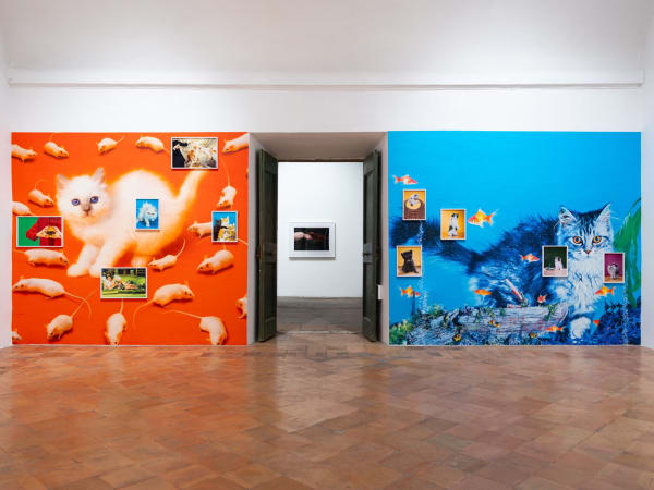 Chromotherapia: Feel-Good Color Photography at Villa Medici installation shot