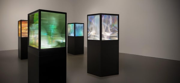 Maja Petrić | Specimens of Time London
