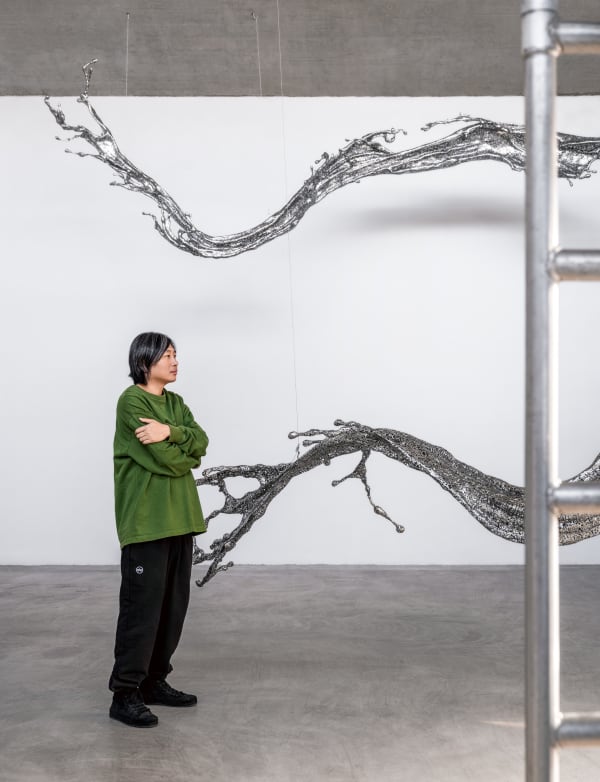 Zheng Lu, Artist Spotlight