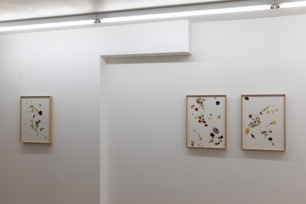 In Arcadia - Summer Group Show, 2020, Installation view