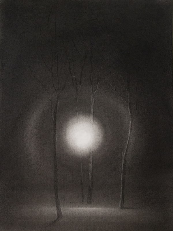 luminous display #2 by Kevin Vanwonterghem, 2024