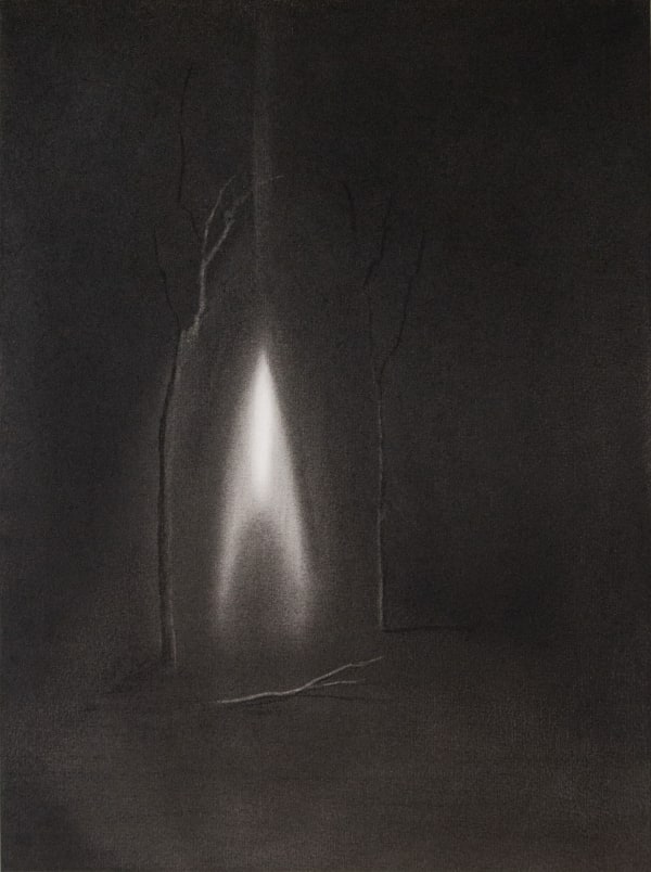 Luminous display #1 by Kevin Vanwontergehem, 2024