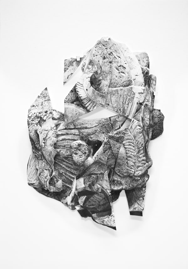 Cerrillo Blanco VII by Juanan Soria, 2024