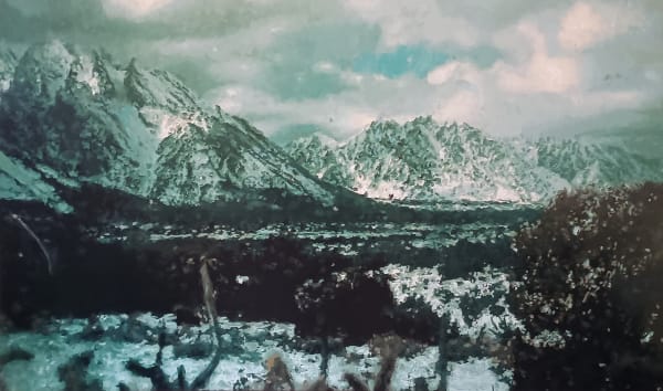 We've been in these Woods - View by Dirk Eelen, 2025