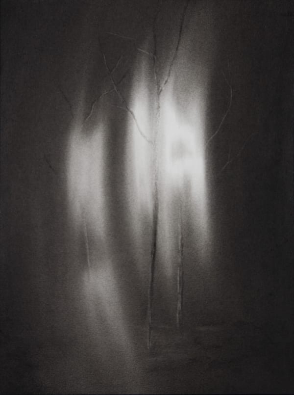 Fleeting Appearance #1 by Kevin Vanwonterghem, 2024