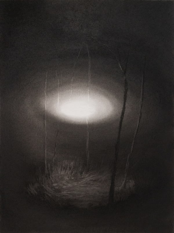 luminous display #4 by Kevin Vanwonterghem, 2024