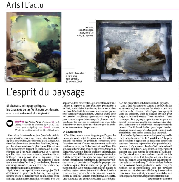 Article Arts Libre on 'Verge' by Jan Valik