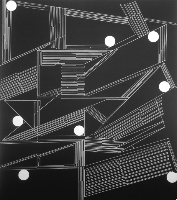 Vargas-Suarez Universal, 8 Neutrinos in Vector Field, 2013