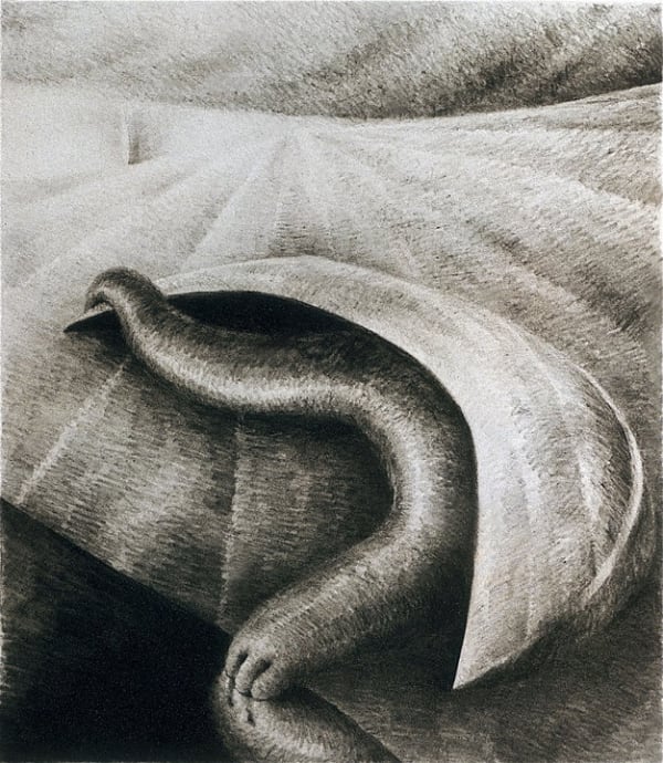 I Wish I Were, 1989, pencil on paper