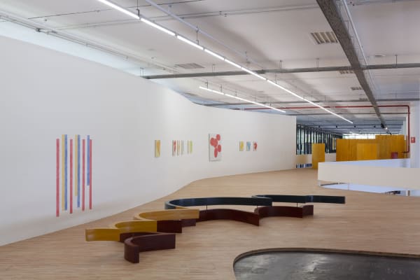 Alejandro Corujeira, Installation Photograph from 33rd Bienal da São Paulo, 2018