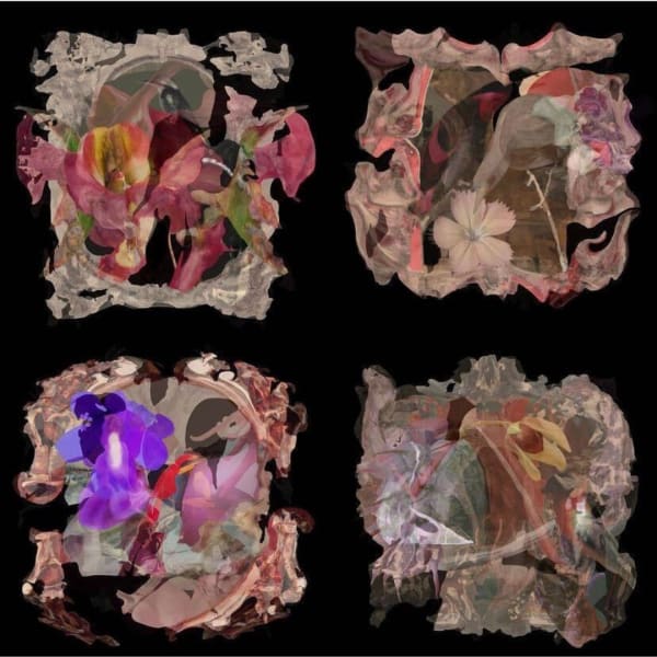 Debora Hirsch, still from PLANTALIA, 2023, MP4 4320 x 4320 pixels (acrylic painting, AI, digital programming, animation), 1’04’’ loop. Courtesy of the Artist.