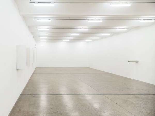 B. Ingrid Olson, 'Elastic X' at secession, 2022