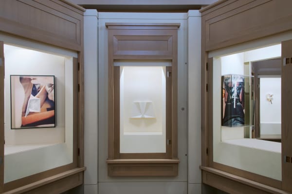 B. Ingrid Olson, 'Forehead and Brain' at Albright-Knox Art Gallery, Buffalo, 2018