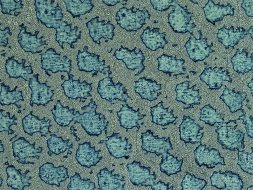 GUÐRÚN EINARSDÓTTIR