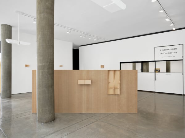 Installation image: History Mother ©B. Ingrid Olson, Photo: Julia Featheringill