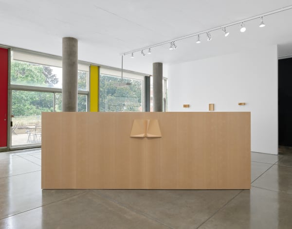Installation image: History Mother ©B. Ingrid Olson, Photo: Julia Featheringill