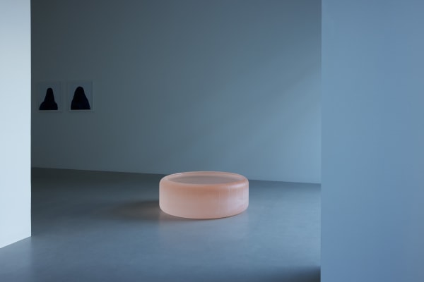 RONI HORN
