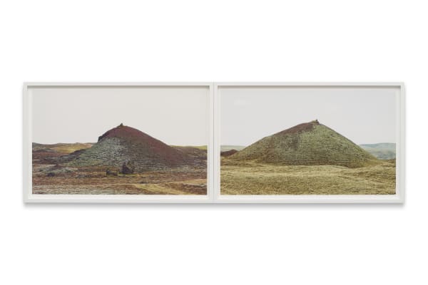 Roni Horn Mother, Wonder