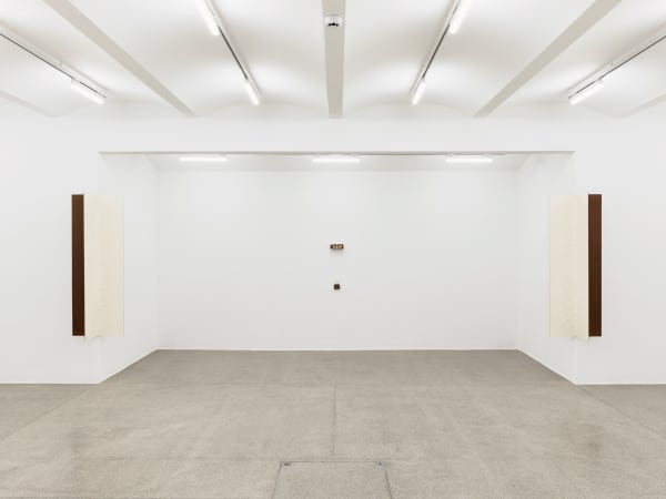 B. Ingrid Olson, Elastic X, installation view, Secession 2022, photo: Campos
