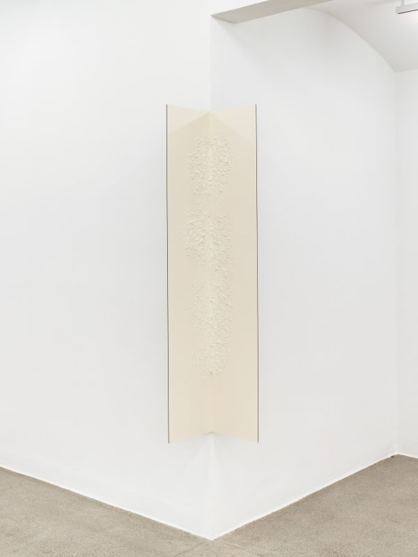 B. Ingrid Olson, Elastic X, installation view, Secession 2022, photo: Campos