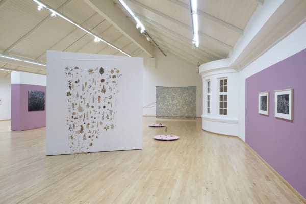 Installation view, The Wildflower, 2020, Hafnarborg. Arna Óttarsdóttir, Untitled, 2014, mixed media, local flora pressed in plastic (foreground). Photo: Vigfús...