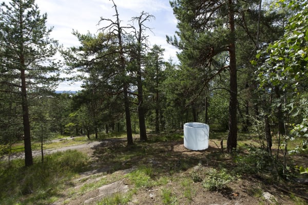 Roni Horn - Air Burial (Oslo) , Ekebergparken, Oslo, 2020, Photo: Uli Holz All Images © 2020 Roni Horn -...