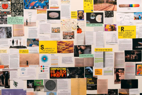 Installation view: Olafur Eliasson: Symbiotic seeing, Kunsthaus Zürich, 2020. Photos: Franca Candrian Courtesy of Studio Olafur Eliasson