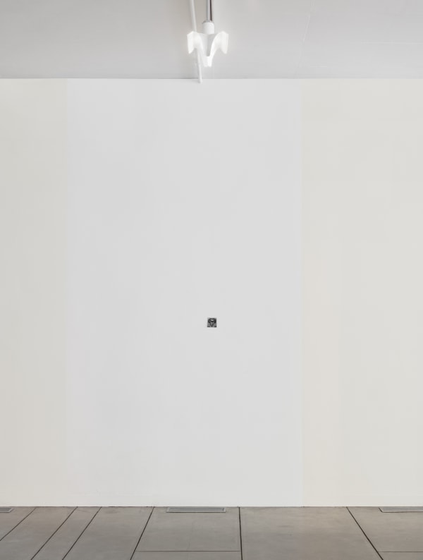Installation image: Little Sister ©B. Ingrid Olson, Photo: Julia Featheringill