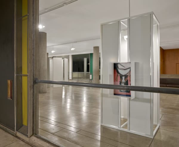 Installation image: Little Sister ©B. Ingrid Olson, Photo: Julia Featheringill