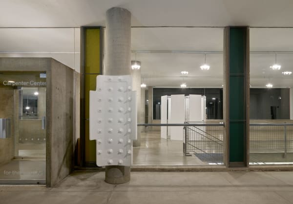Installation image: Little Sister ©B. Ingrid Olson, Photo: Julia Featheringill