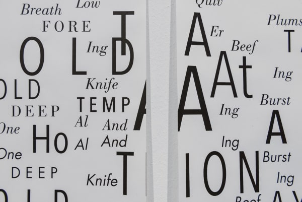 Janice Kerbel: Art and Alphabet, Hamburger Kunsthalle, Hamburg, Germany, 2017. Photo: Kay Riechers