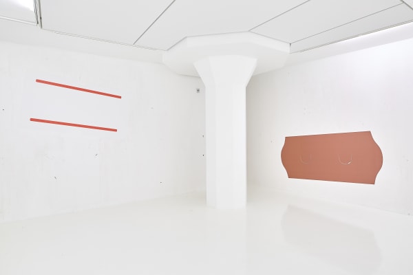 Installation view: Hildigunnur Birgisdóttir, Reykjavik Art Museum, 2021