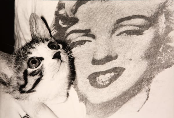 Masahisa Fukase - Sasuke! My dear cat - Beach, 1978