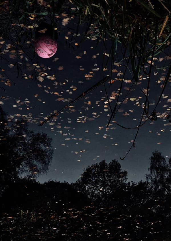 Sayako Sugawara - Ironstone Pond 1, 2022