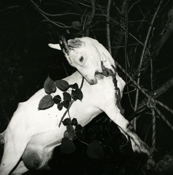 Issei Suda - Untitled, from Landscape with Chimney, c1980