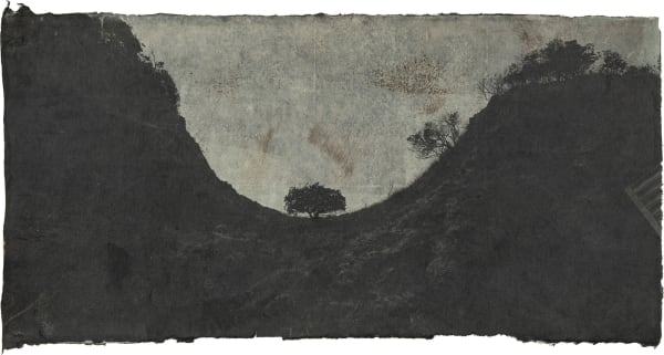 Ali Uchida - Untitled, 2023