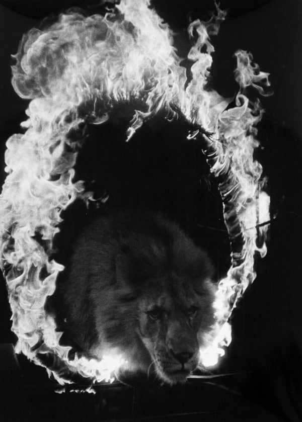 Akira Tanno - Sad Eyes, Kigure Circus, 1957