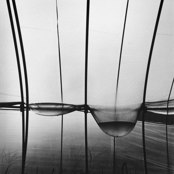 Kozo Miyoshi - Light Waves, from the series See Saw, 1981