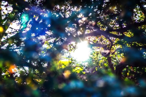 Yosuke Takeda - 60700, 2014