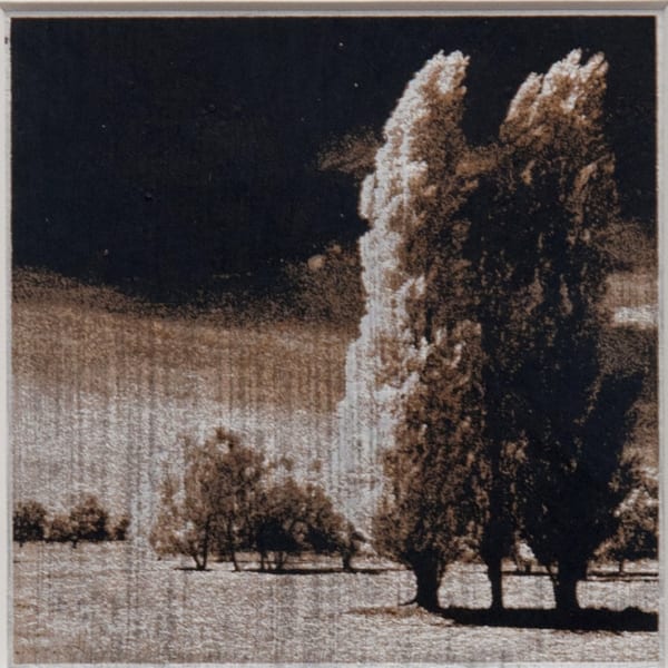 Norio Takasugi - FJC-2, 2024