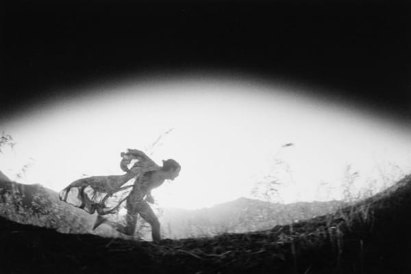 Eikoh Hosoe - Untitled, from the series 'Simmon: A Private Landscape', 1971