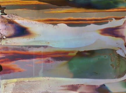 Daisuke Yokota - Lichen No. 11, 2014