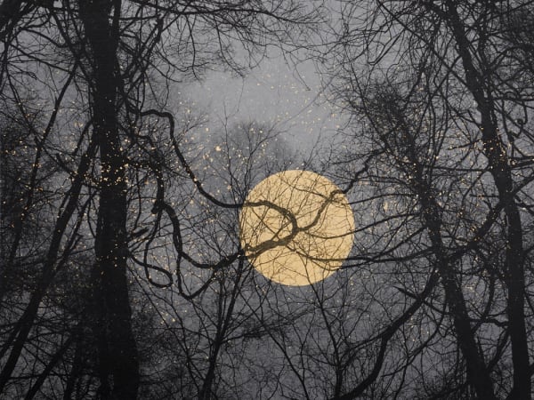 Junko Hirano - A-Bombed tree 7AT-4, 2025