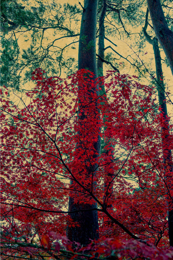 Albarrán Cabrera - This is you here #131, n.d./2023