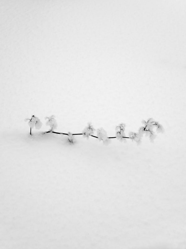 Yoshinori Saito - Upaskuma, 2013