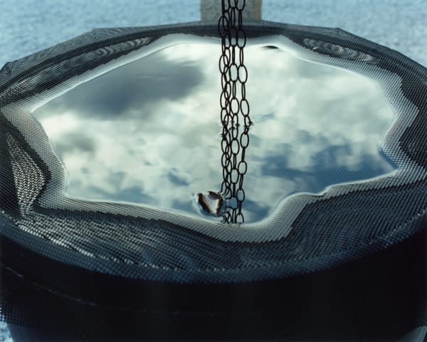 #08 Monkey Puzzle - Yoko Ikeda