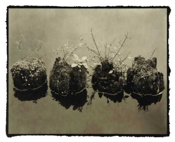 #40 Wabi Sabi