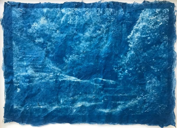 #50 Trees, Water and Light - Mika Horie