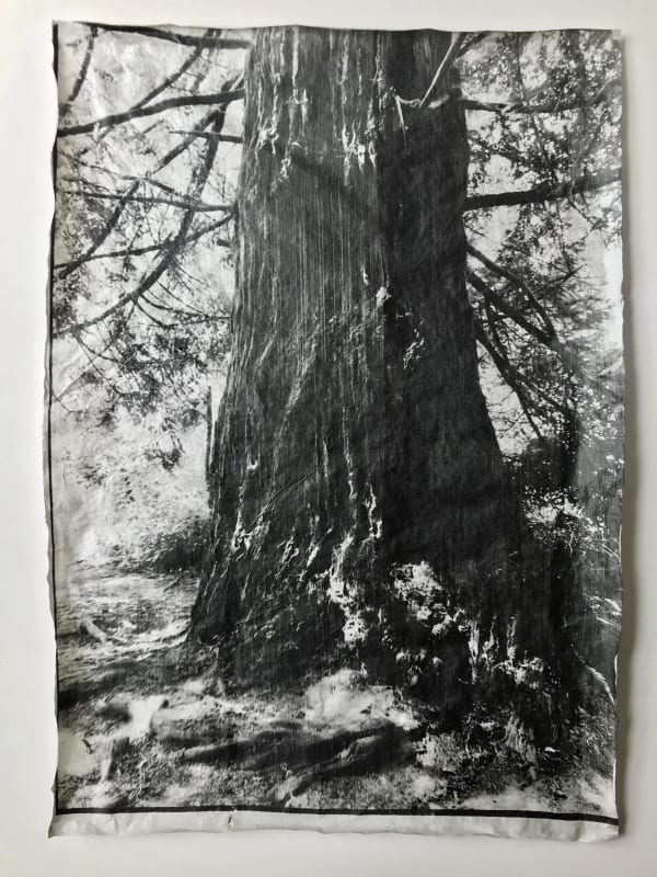 #54 Undercurrents - Sayako Sugawara